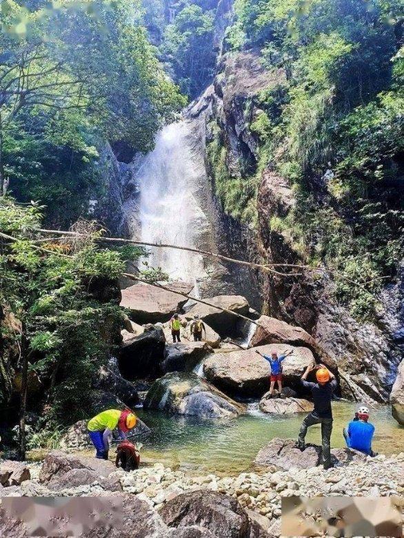 虫虫助手下载